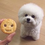편의점 갈 때나 집 앞 갈 때도 마스크에 모자 풀<b>장착</b> 했는데 요즘은