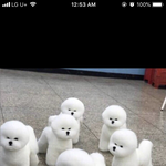 [EXO] 이거 비비임?