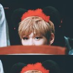 [강다니엘] 눈이 초롱초롱