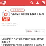 [ㅈㄱㄴ] 어제 양홍원 예리 <b>톡선</b> 어그로
