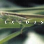 [EXO] 우리 팬들 패쓱코드 얼마나 애정하냐...