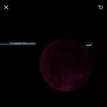 [EXO] 립스틱샤또 <b>와인</b>빛컬러~