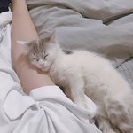 너희 <b>아기들</b> 좋아해?