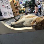 애더라 <b>양도</b> 관련해서 궁금한 게 있는데