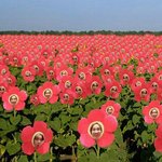 [댓글부탁해] 너네 본진 사진 몇 장 있냐