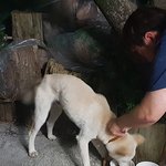 [개깊은빡침] 주인 없는 개면 함부로 잡아먹어도 되는겁니까?