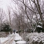 [겨울최고야] 겨울의 좋은 점