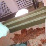 [댓글부탁해] 더는 숨지않아 어깨 펴고 shall <b>we</b>