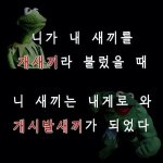 [위너] 짤털 (<b>욕설</b>주의)
