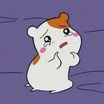 [19] <b>랜챗</b>에서 누가