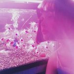 [댓글부탁해] 너네욕하는거 고소가능함 (야짤귀짤도)