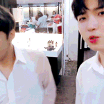 [박우진] 이거 300번 돌려본 참새단들 손