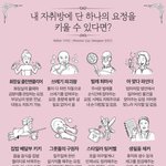 [드루와] 단 하나의 집요정을 고르자면?
