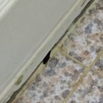 [EXO] 화장실에서 20분째 <b>대치</b>중...