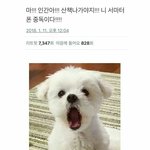 [드루와] 나 꿈꿨는데 ㅈㄴ 이상함 ;;;;