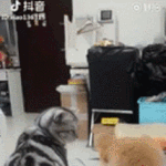 [댓글부탁해] 문<b>유미</b> 라는 이름 ㅇㄸ