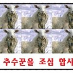 마귀신천지 주의합시다