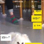 [EXO] 관심있는 <b>남자</b>애한테 연락했다고했더니