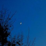 [ㅈㄱㄴ] 예쁜데 공학이면 <b>대쉬</b> ㅈㄴ 받는다 ㄹㅇ