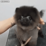 시룬데