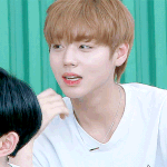 너네 유튜버 누구 좋아해?