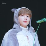 [모두드루와] 점점 진화하는 팬덤ㅋㅋㅋㅋㅋㅋㅋㅋㅋㅋㅋ