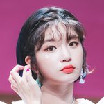 앨리스 <b>벨라</b> 아는 사람 있냐