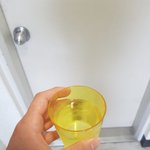 [고양이] <b>옥상</b>에 고양이 갇힘 5일차[낮]
