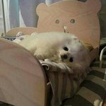 [드루와] 얘들아 파데 한통 <b>몇달</b>이면 다써?