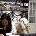 [댓글부탁해] 쳐다만봐도 <b>혈압</b>오르는 사진