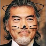 밤에는   쉴틈없이