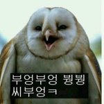맞아 얘들아 <b>나</b> 얼굴 궁<b>예</b>좀