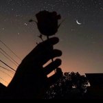 [댓글부탁해] 나만 일하거나 운동할때 다치면 <b>뿌듯</b>하냐