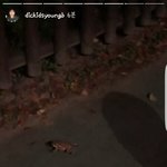 [댓글부탁해] <b>홍원</b>이 인스타 스토리 업뎃