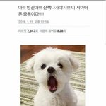 [드루와] 얘들아 이거 선생님이 뭐라시는거냐..