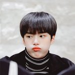 귀염 뽀짝 댕댕이 남돌 ㅠㅠ