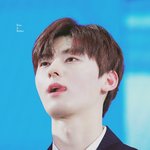 [댓글부탁해] 내일 콘서트가는데 옷좀ㅜㅠ