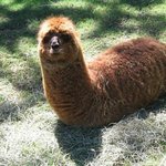 [19] <b>여성향</b> ㅇㄷ사이트 알아냄 빛삭ㅃㄹ