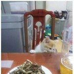 [댓글부탁해] 나 키크려고 노력했는데 166밖에 안컸어...