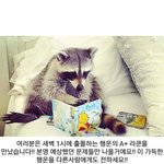 [댓글부탁해] <b>인문</b>계 얘들아 조언 부탁해