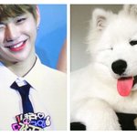 [강다니엘] 멈무짤은 <b>대체</b> 어디서 찾아오는건지 ㅋ