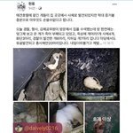 [방탈죄송] 제 가족을 죽인 애견업체