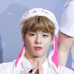 [강다니엘] <b>포도</b>깅 터진이유