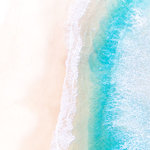 내가 뽑은 엑<b>방셉</b> 트랙 탑12