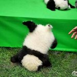 [드루와] 너네 운동화 뭐 <b>신어</b>?진짜 못 고르겠음