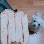 [이삐] 그 유명하다는 샌드위치 만들어봤다