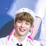 강다니엘 <b>포도알</b> 어떻게 됐는지 아냨ㅋ