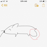 [댓글부탁해] 햄스터 엉덩이 <b>조온</b>나 커짐;;;;;;