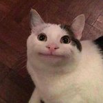 [댓글부탁해] <b>홍원</b>이한테 디엠보낼거 ㅊㅊ좀