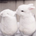 [ㅈㄱㄴ] 18녀 노래 잘 부르는데 질문 받는당